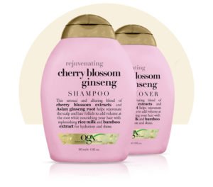 cherry-blossom-ginseng