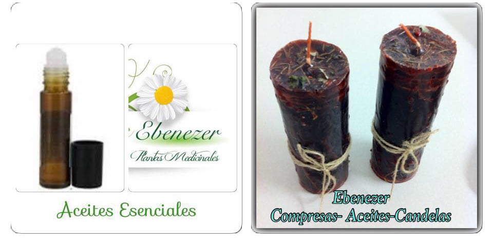 13450953_1444176452274768_7904823604355954671_n-1